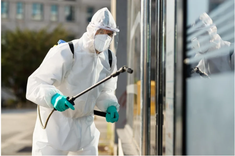Pest Control Services