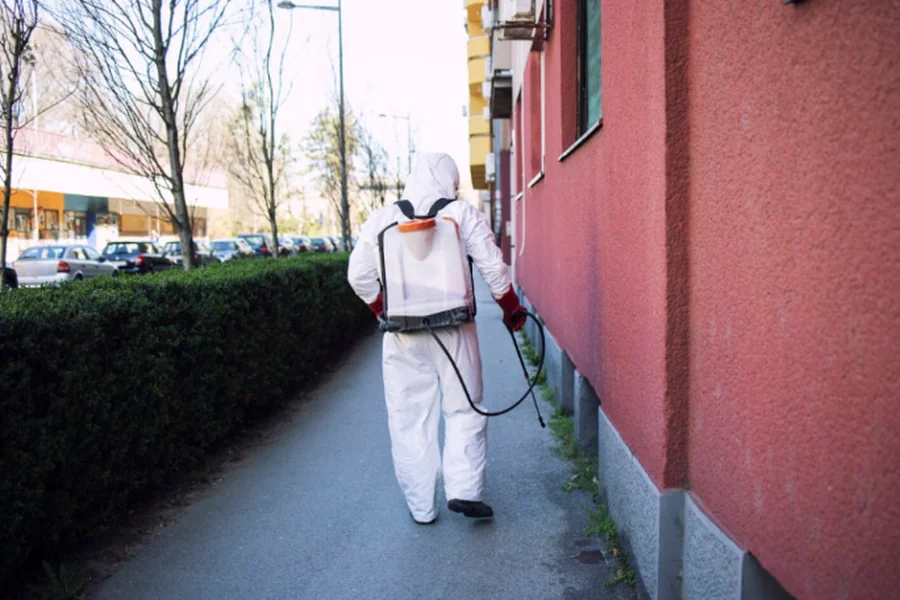 Pest Control Services